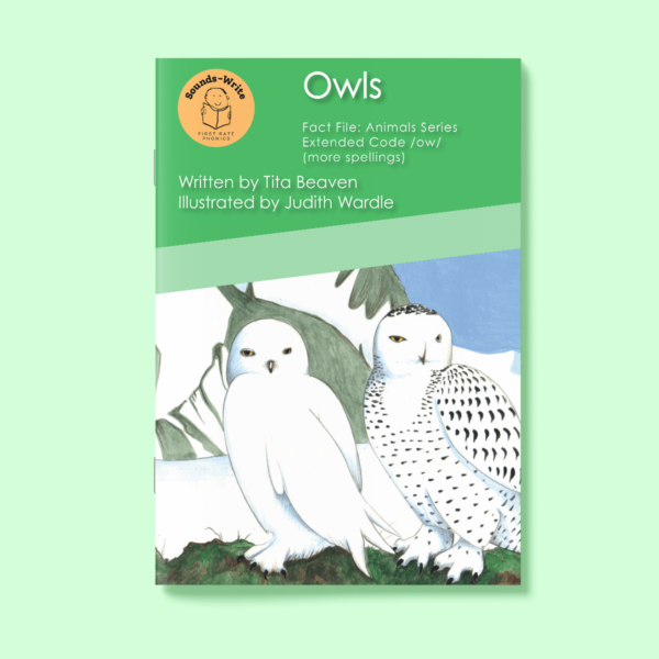 Book cover for 'Owls' Fact File: Animal Series Extended Code /ow/ (more spellings)