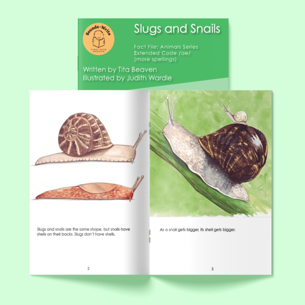 Page from The book titled 'Slugs and Snails'. Text on the page reads: Slugs and snails are the same shape, but snails have shells on their backs. Slugs don't have shells. As a snail gets bigger, its shell gets bigger.